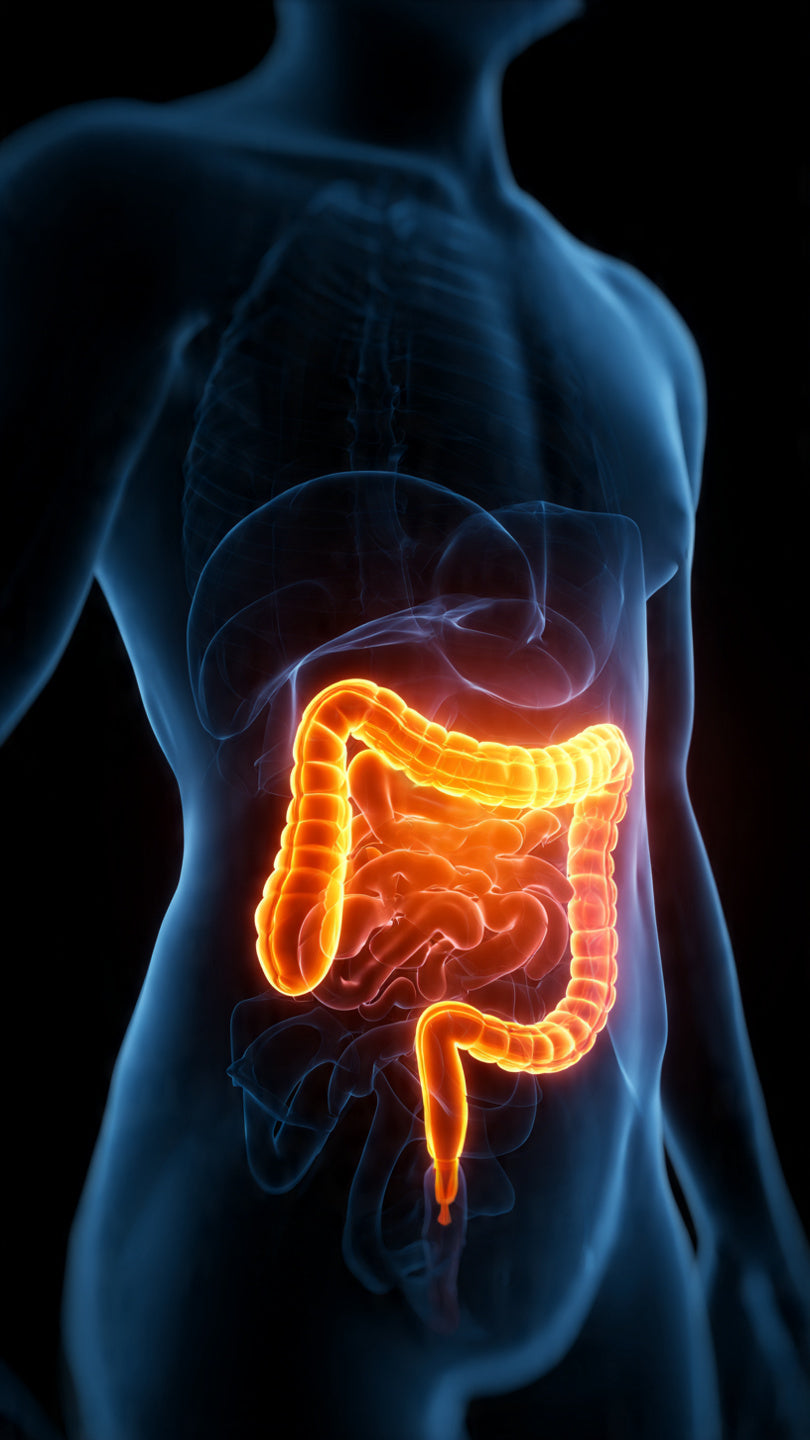 Chronic Gastritis: Causes, Symptoms, Diagnosis and Ayurvedic Healing Approach